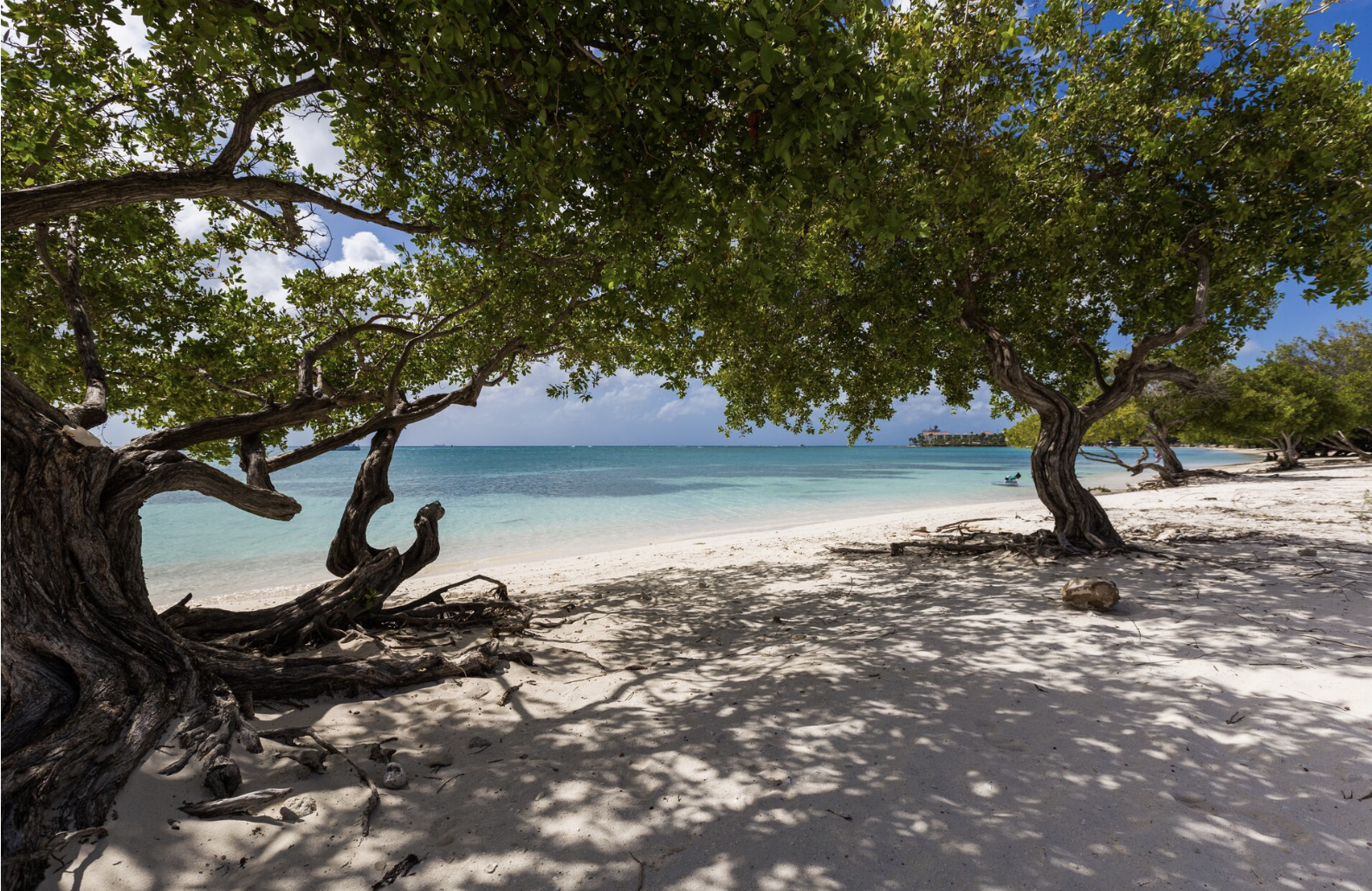 Things To Do Surfside Beach